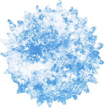 planet Vital BizForm