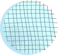 planet Vital OD